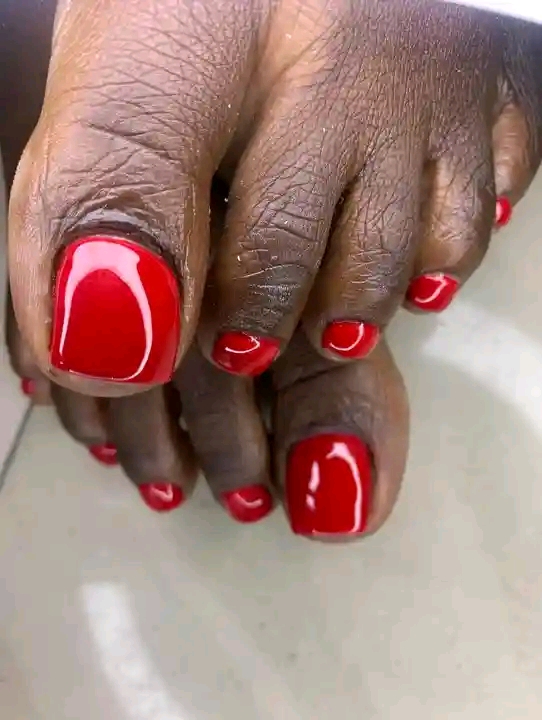 Alexandra Nails Logo