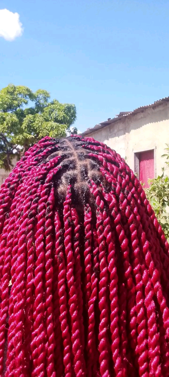 Cha-cha Hair Saloon