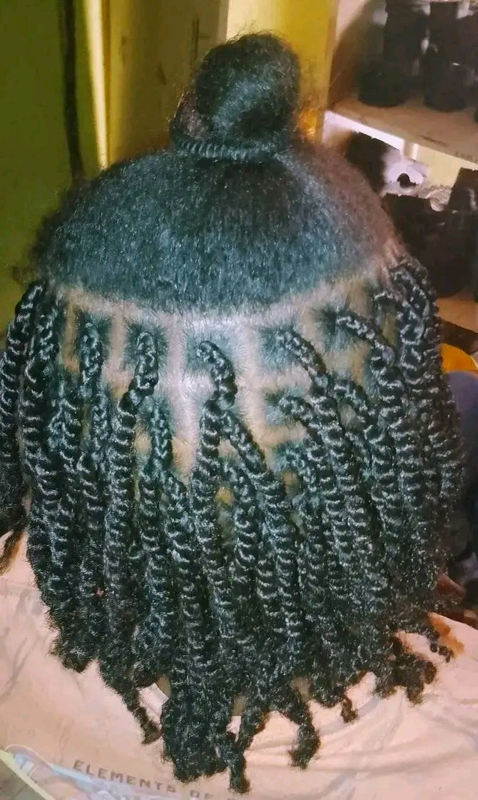 Shanel's hair saloon Logo